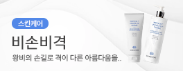 비손비격