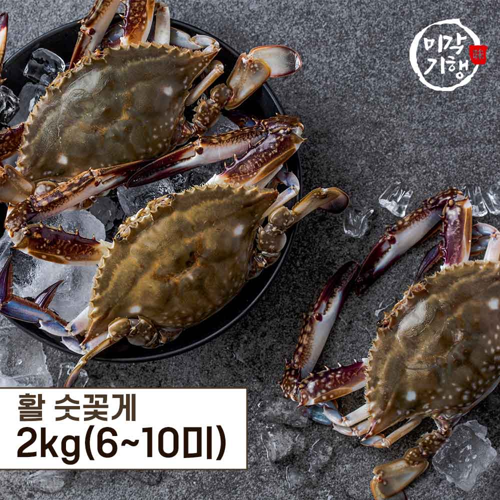미각기행 제철 대박 활 숫꽃게 2kg(6-10미)