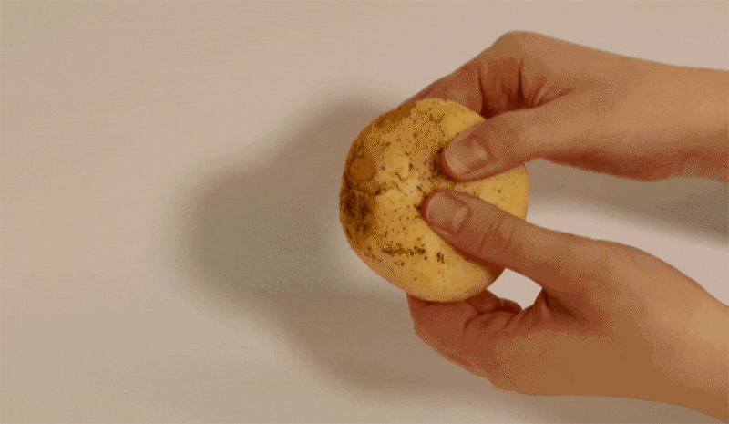 GnRe-d3-1.gif