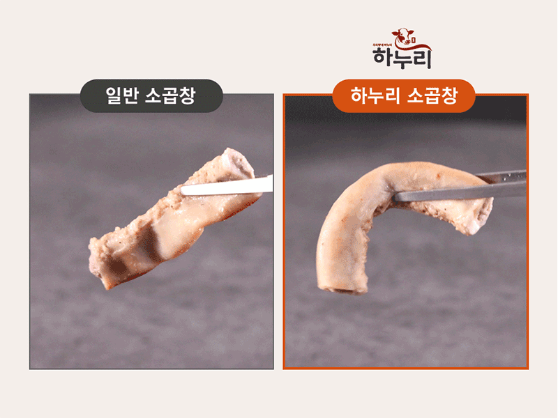 ReCook-d3-19.gif