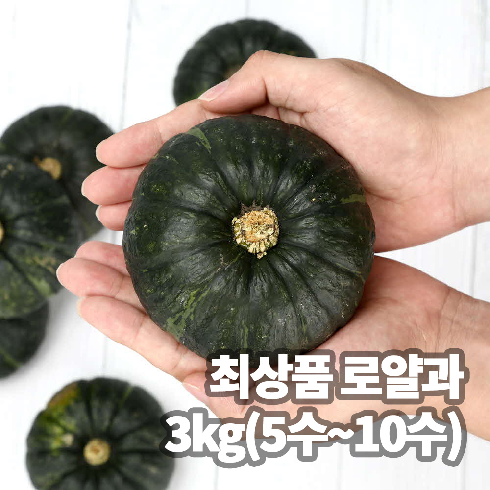 (예약판매/6월23일부터순차배송)제주하우스 미니 Bam호박 최상품 로얄과 3kg(5수~10수)