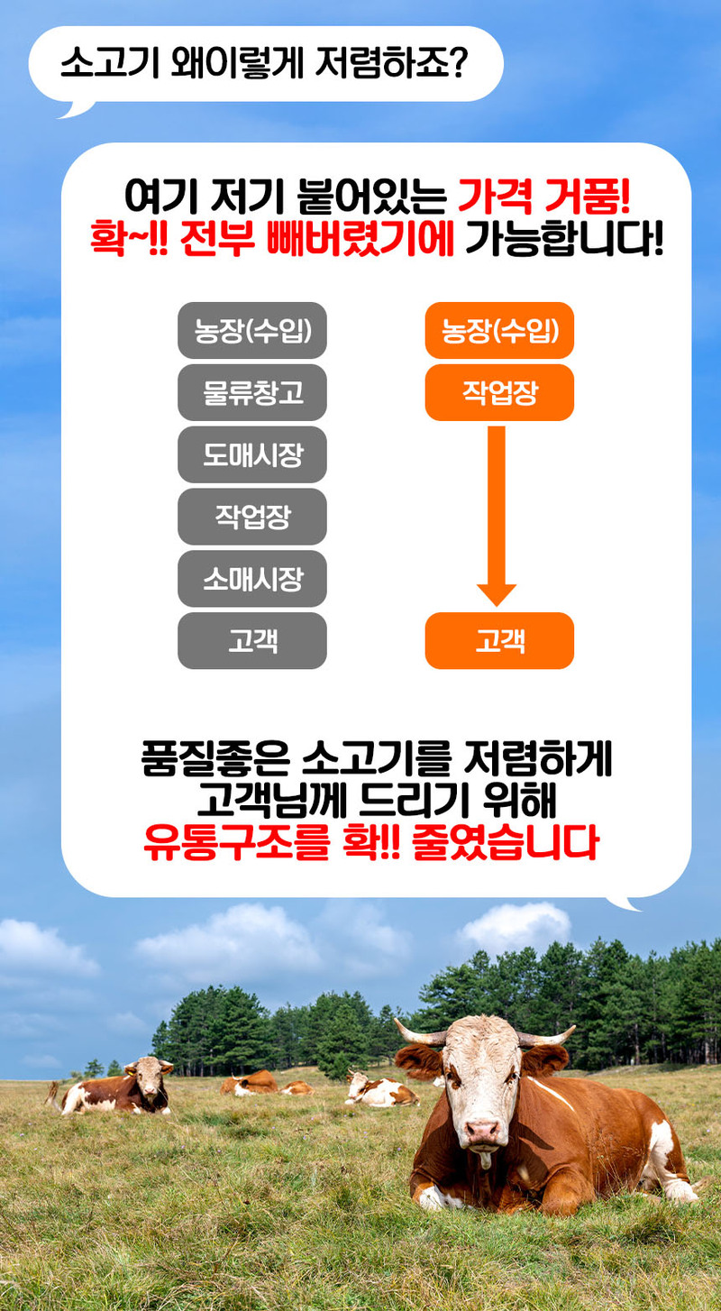 sjk-d1~d3-7.jpg