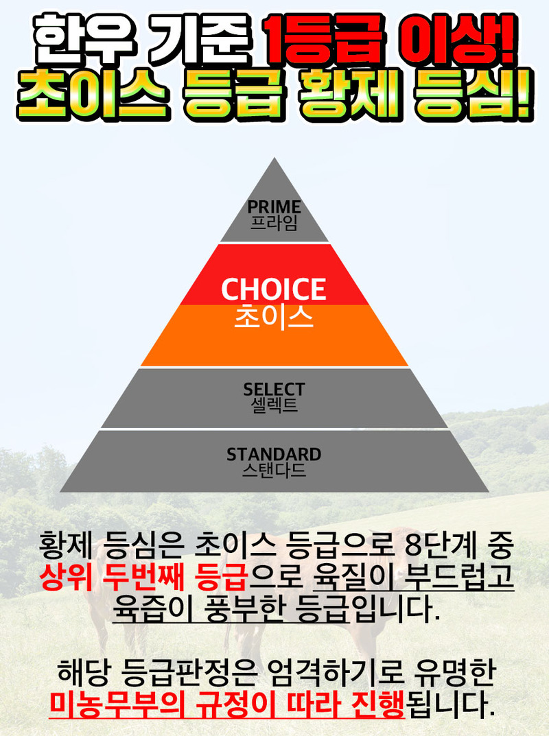 sjk-d1~d3-8.jpg