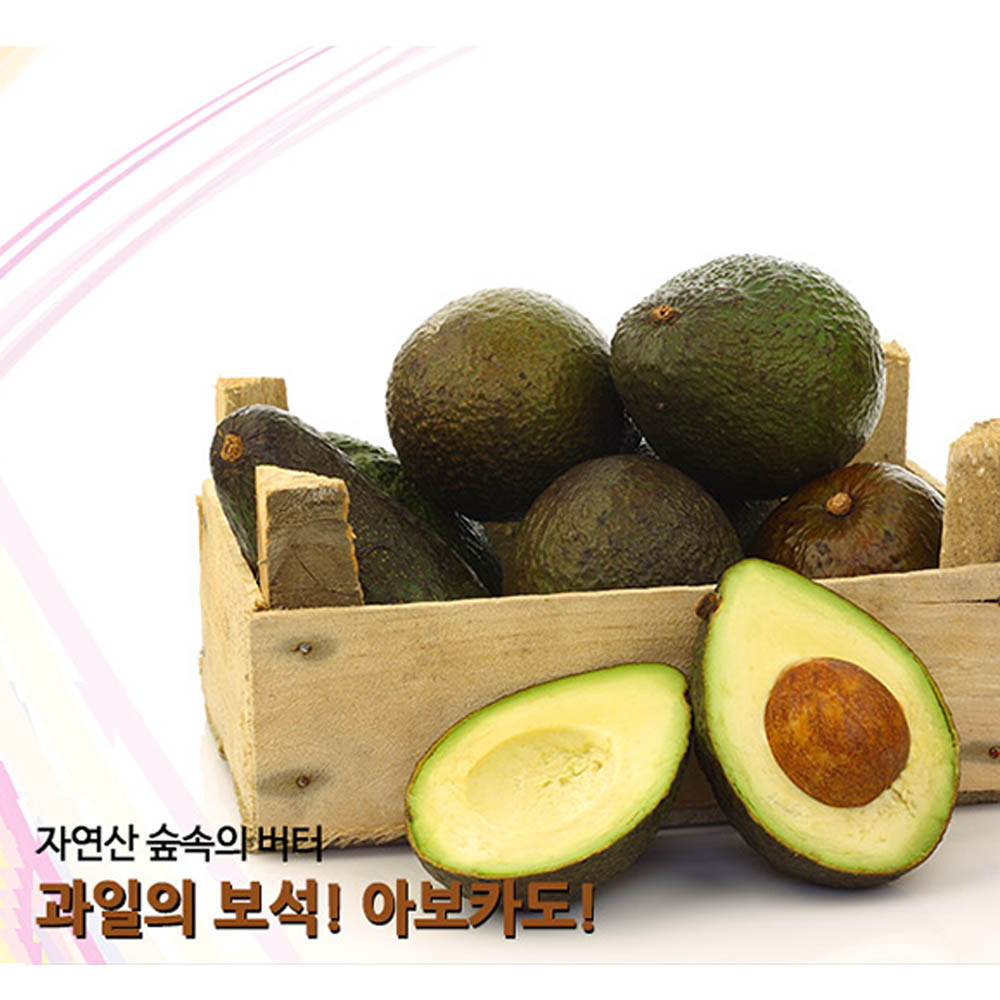 [수입과일] 비타민과 미네랄이 많은 건강과일 아보카도 10개(개당 220g 내외)