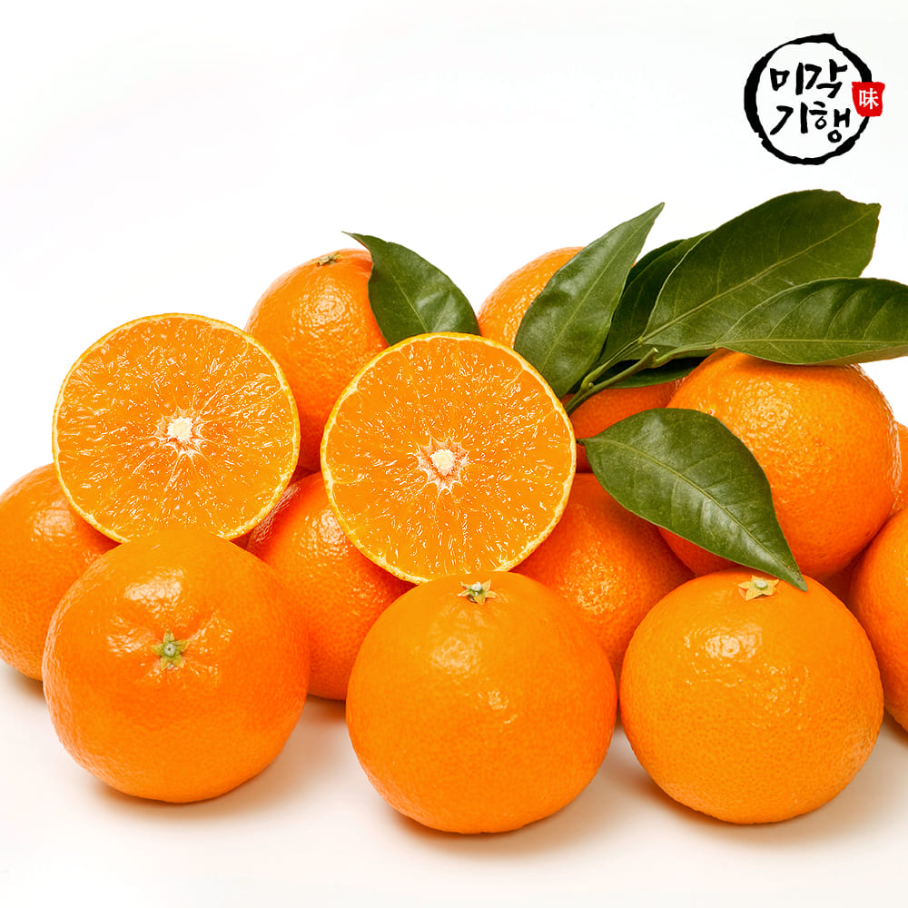 [행사]미각기행 제주 하우스 감귤 중대 1kg(7~9과)