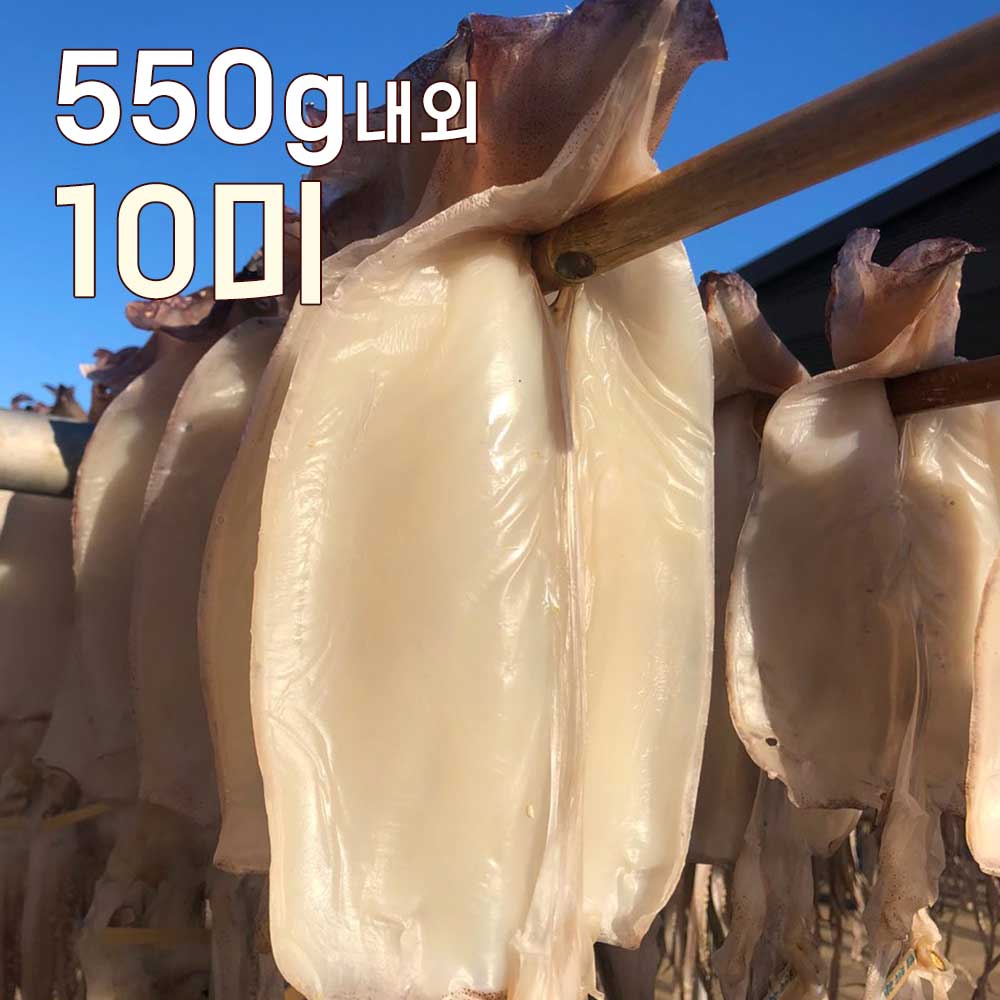 바다바람에 말린 쫄깃한 마른안주! 반건조 오징어 10미 ( 중 550g 내외 )