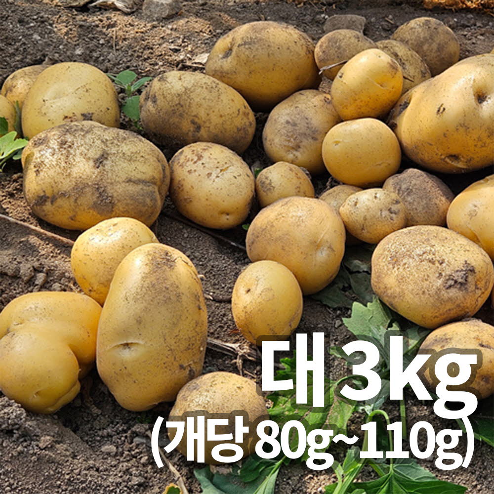 26년 햇 감자_대 3kg 알감자용&찜용 중량 (80g~110g)