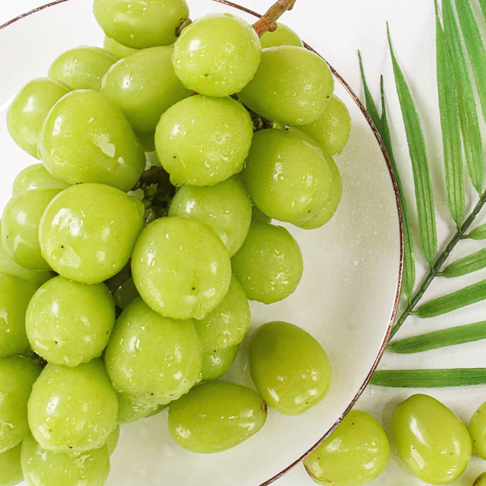 [제철과일] 하우스 가정용 샤인머스켓 1kg (2수)