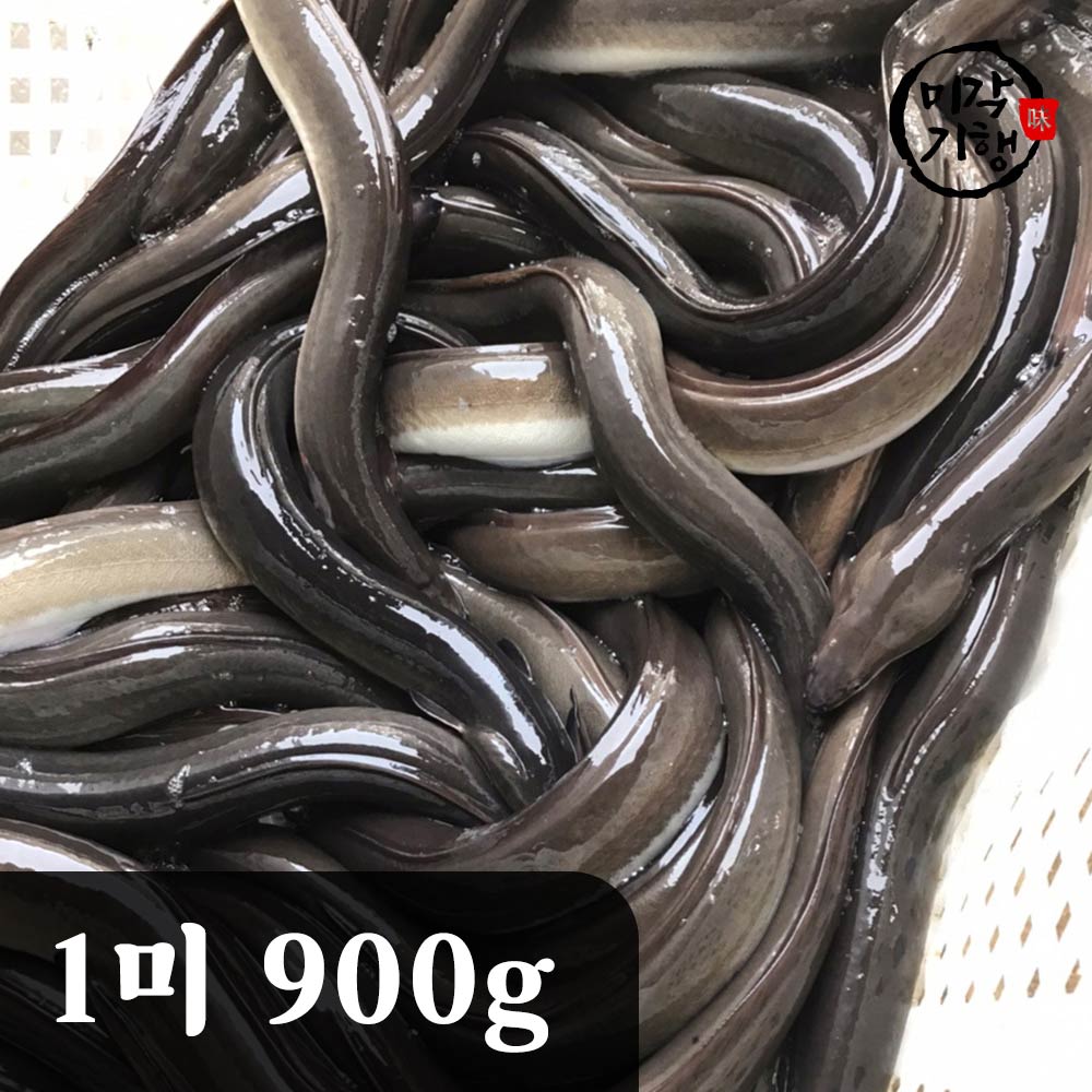 [미각기행] 풍천 자포니카 특 민물장어 1미 900g(손질 후 600g 내외)