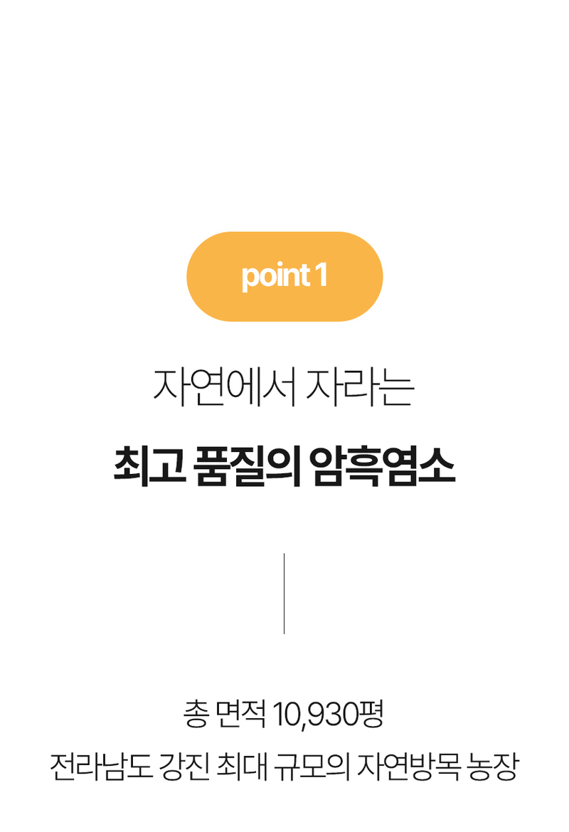[유통기한할인] [젤잇] 흑염소 스틱 젤리 15g x 31포/유통기한:27.06.01까지 상세 35