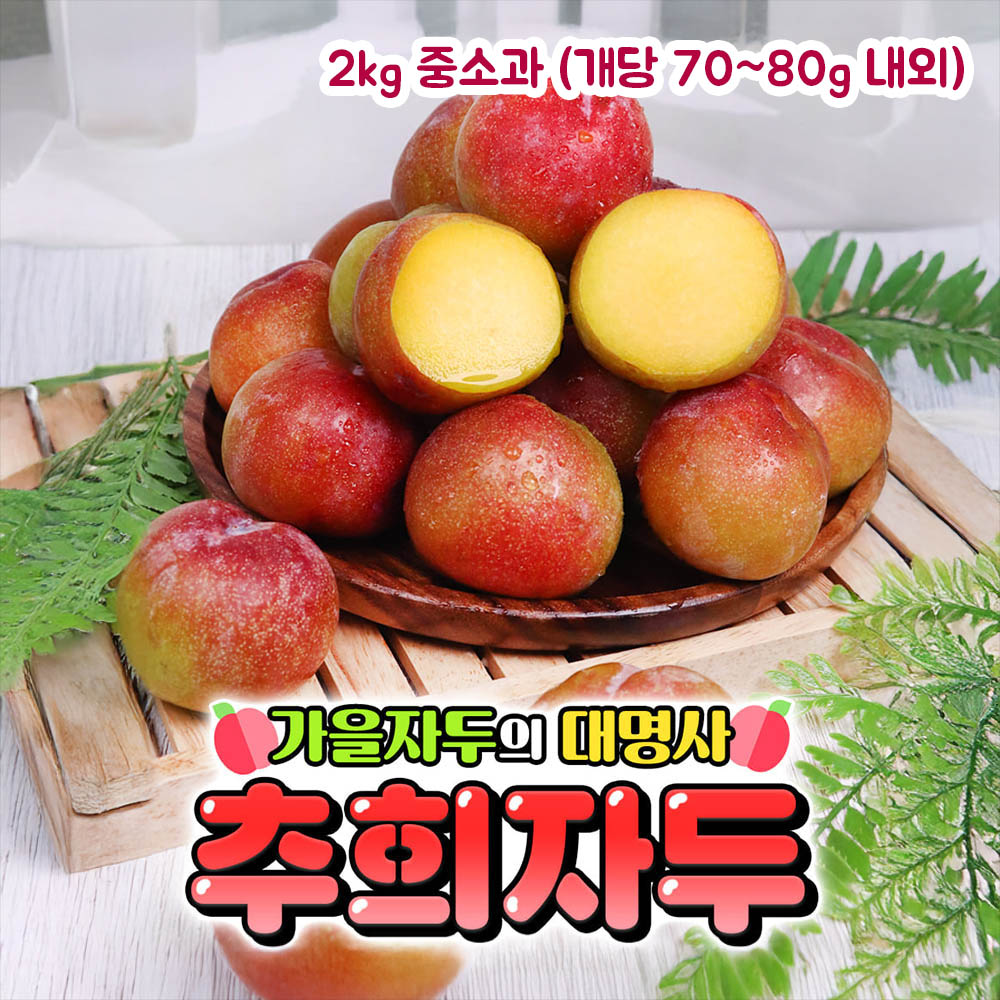 [제철과일] 옥황 추희자두 2kg 중소과 (개당 70~80g 내외)