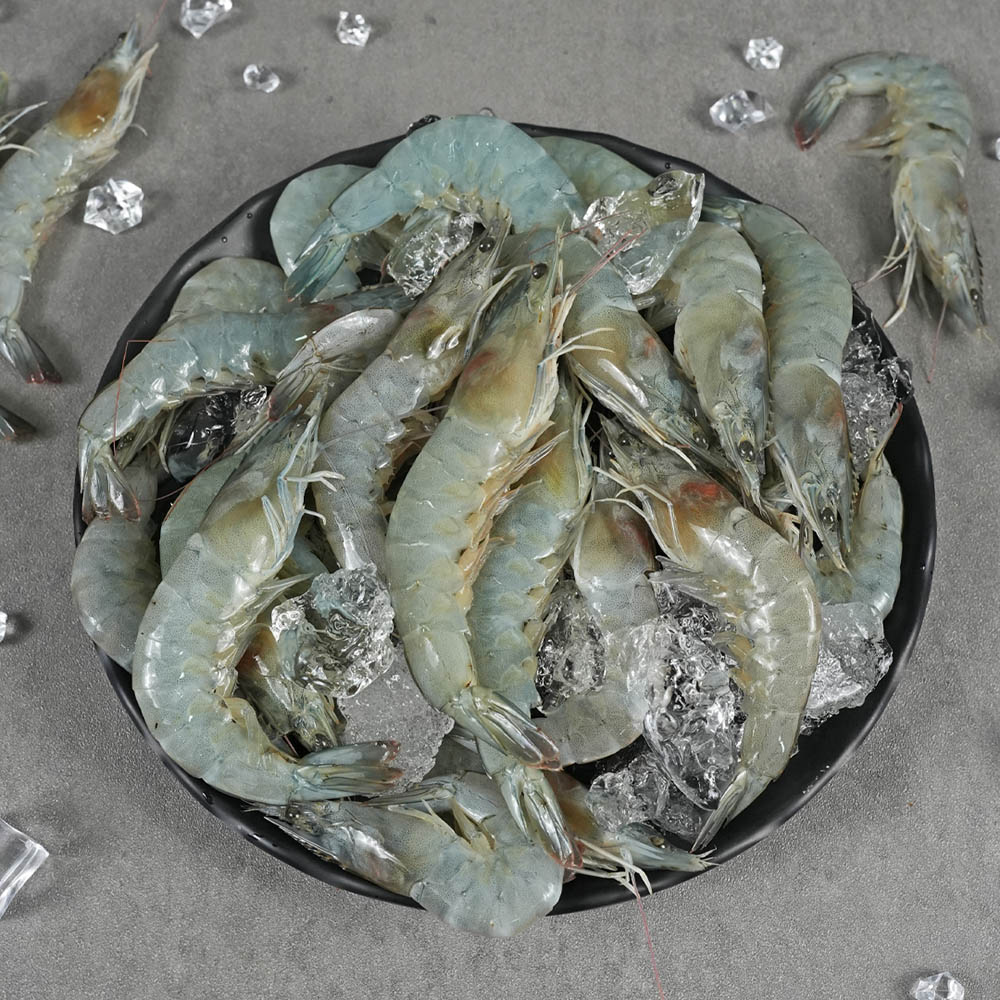 활 흰다리새우 1kg(42미 내외)