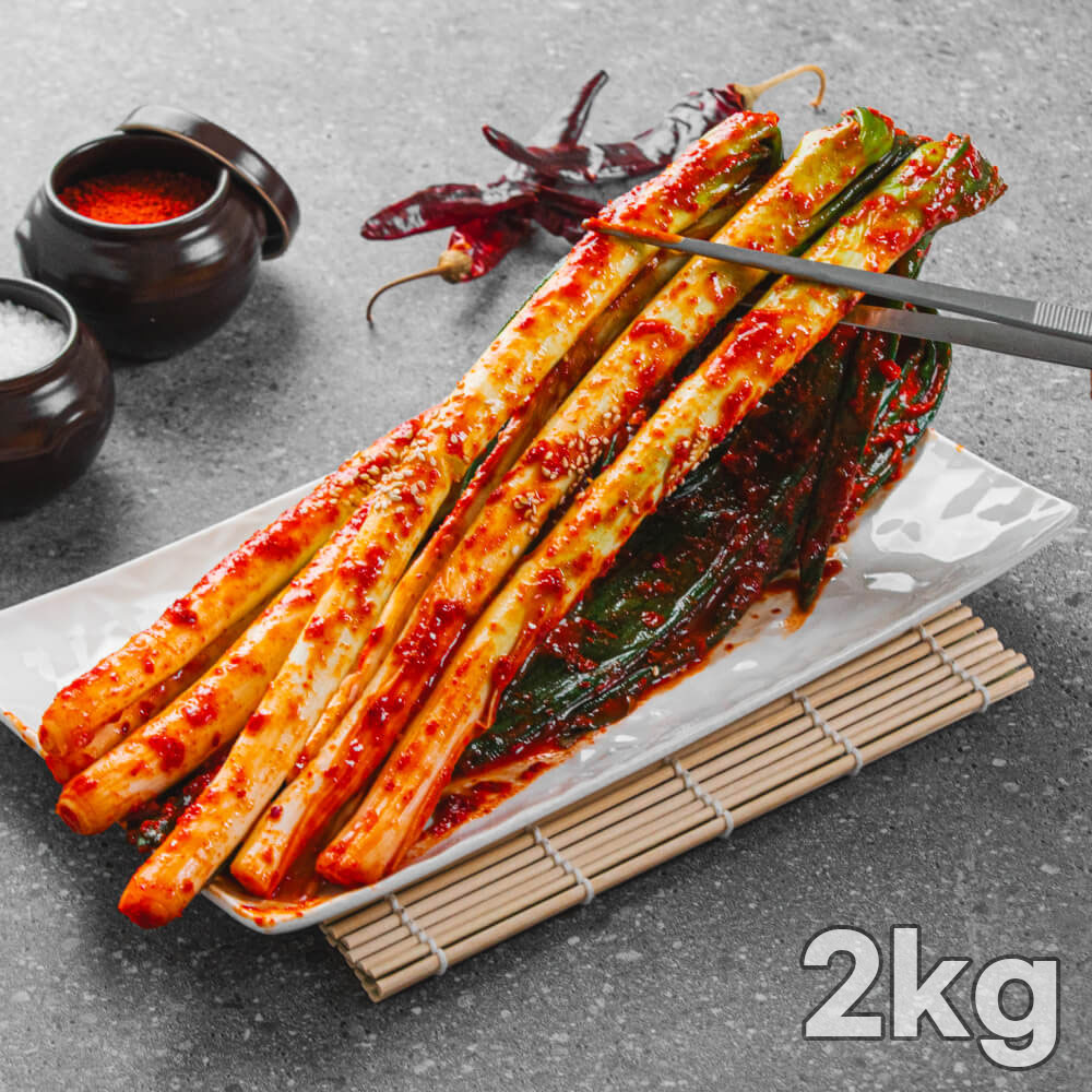 국내산 대파 100% 중독되는 매콤달달 별미 대파김치 2kg