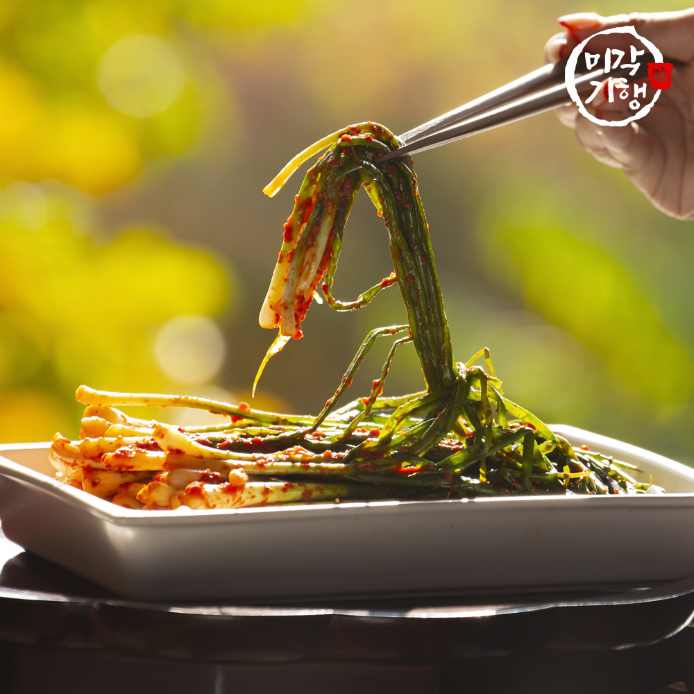 오름 HACCP 인증 맛있는 파김치 5kg(아이스박스)