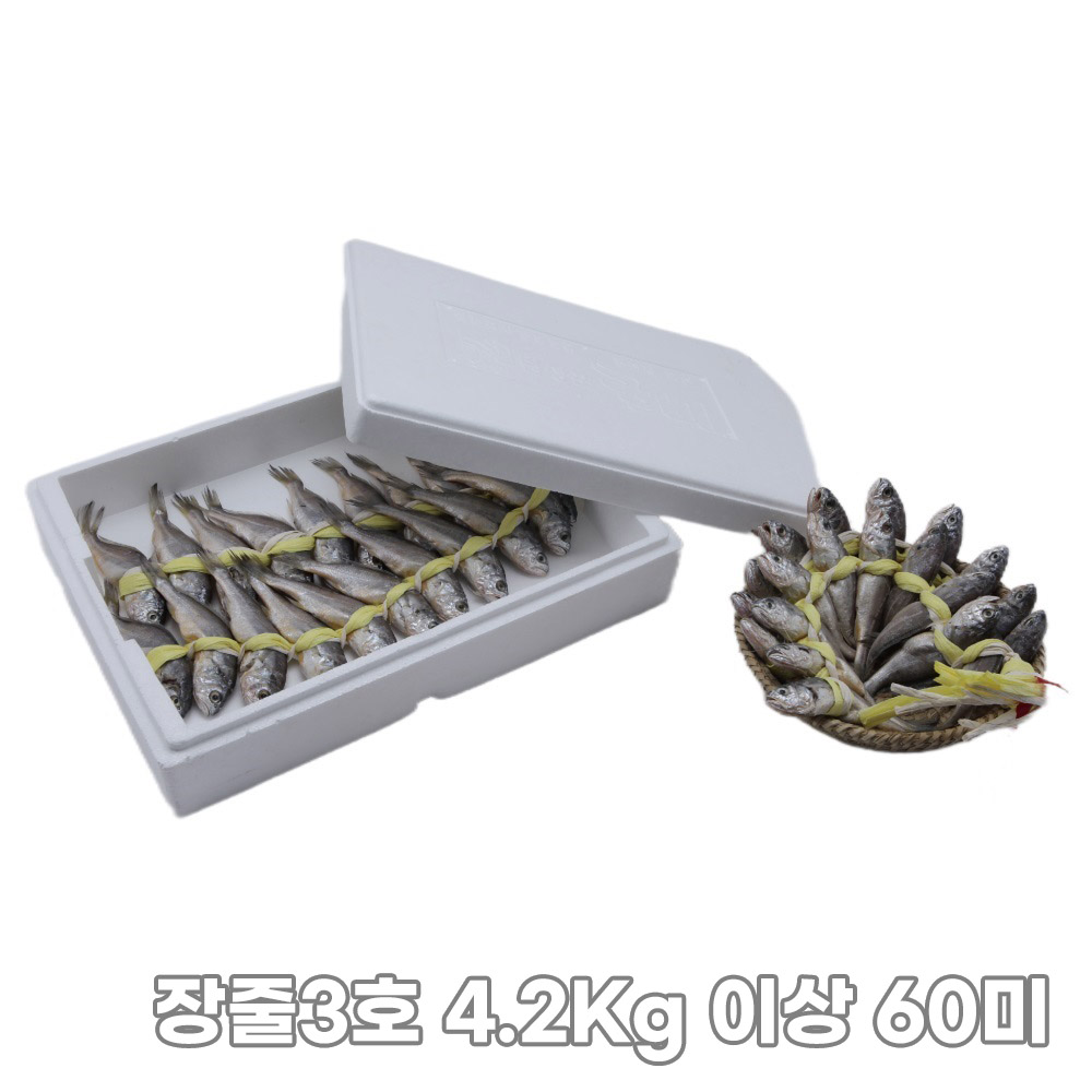 [집밥먹자] 밥도둑 국내산 영광 법성포 가정용 굴비 장줄3호 4.2Kg 이상 60미/부직포가방