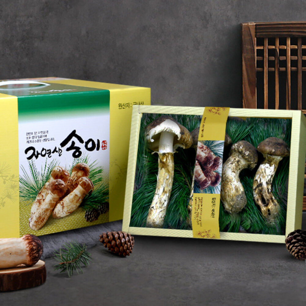 [송림山속] 강원도 자연산 송이버섯 500g/등외품/6~14뿌리
