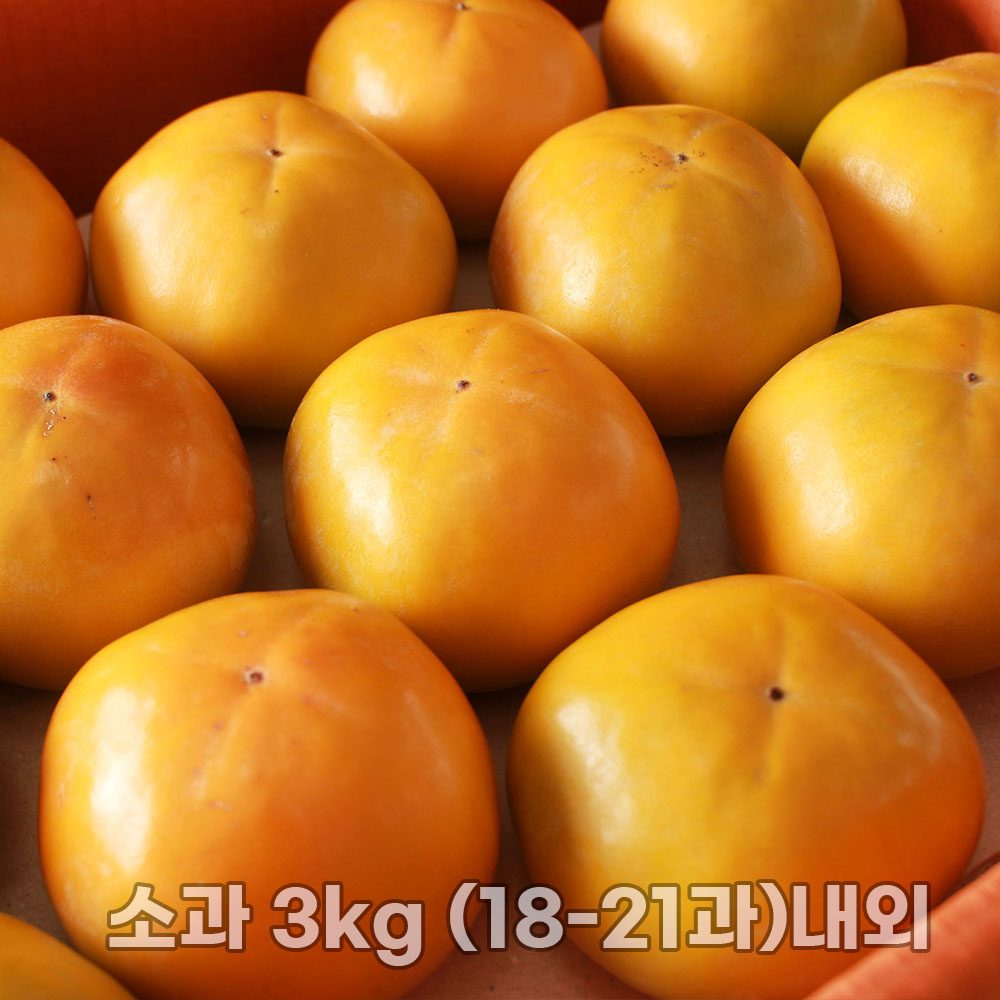 진영 고당도 부유단감 고당도 단감 소과 3kg (18-21과)내외