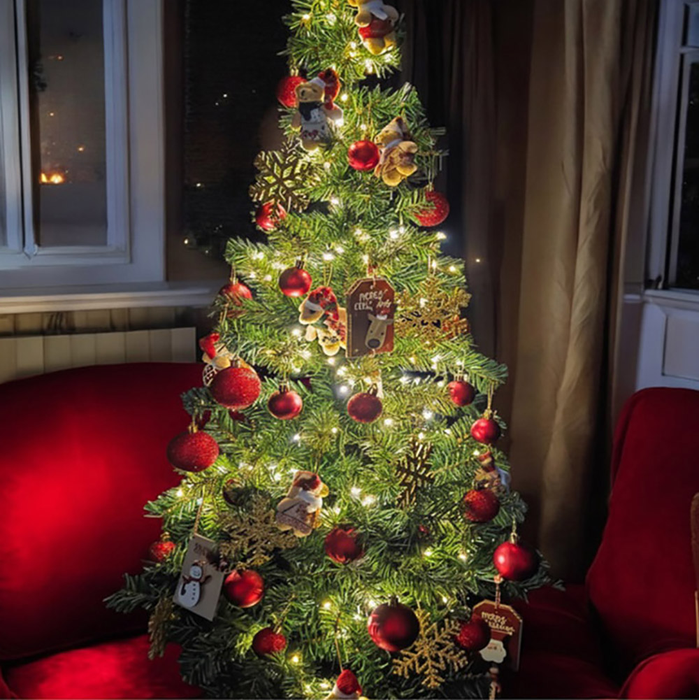 코지로움 볼륨업 트리세트 120cm 240팁