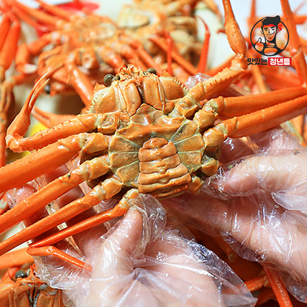 [맛있는청년들][제철특가] 구룡포 연지홍게 고급형 3kg(10미내외/찜발송)