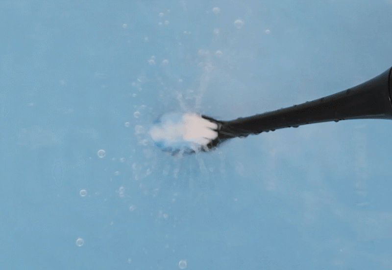 MS2_08.gif