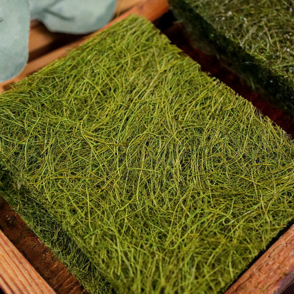 3대째 내려오고있는 50년 전통 수제 26년 햇 생감태 20매 (2봉)