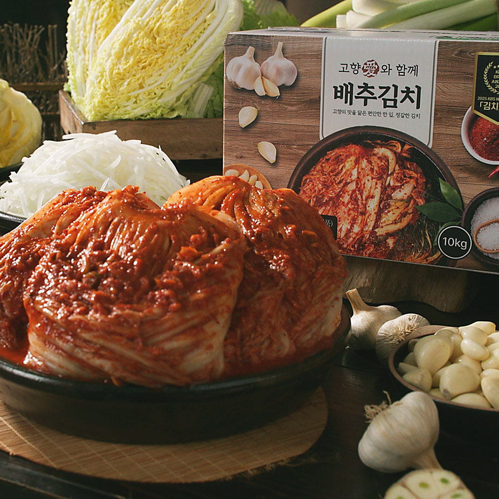홍여진의 고향애 명품김치 10kg