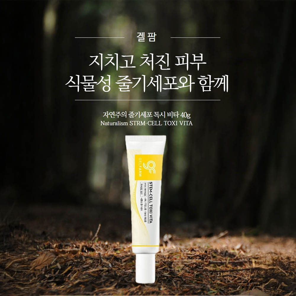 겔팜 줄기세포톡시 비타크림 40g /아침에