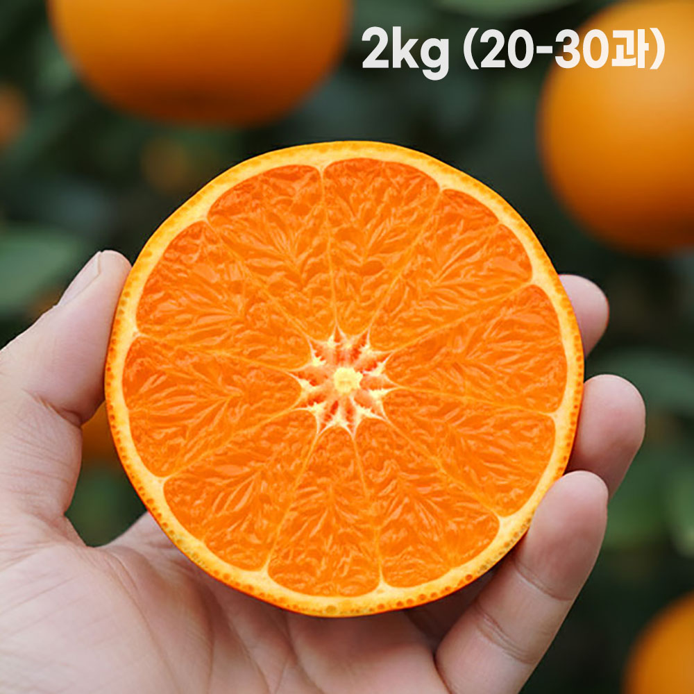 [형원농장] 제주에서 온 레드 오렌지 감귤 홍매향 2kg (20~30과)