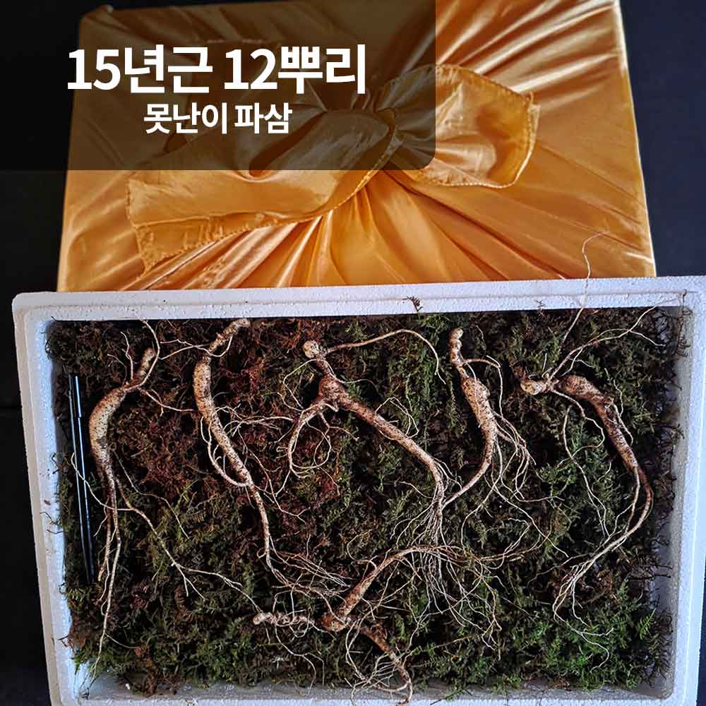 [천생삼농장] 산양산삼 15년근 못난이 파삼 12뿌리