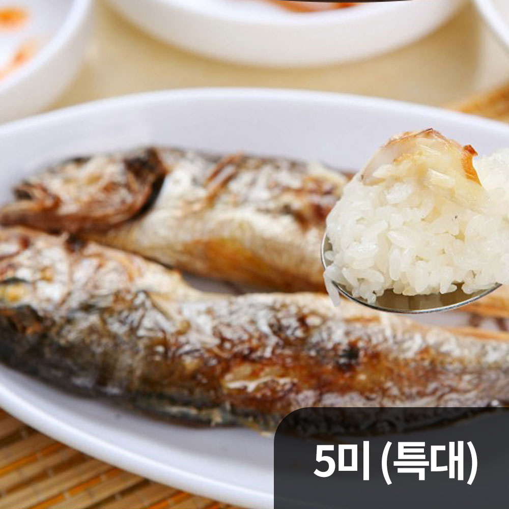 부세굴비 선물세트 5미 29~31cm (특대)