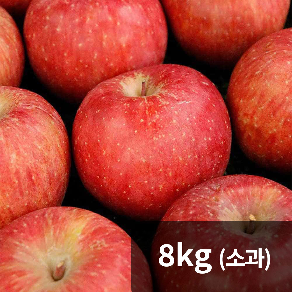 옥황 가정용 얼음골사과 8kg 소과 (40-45과)