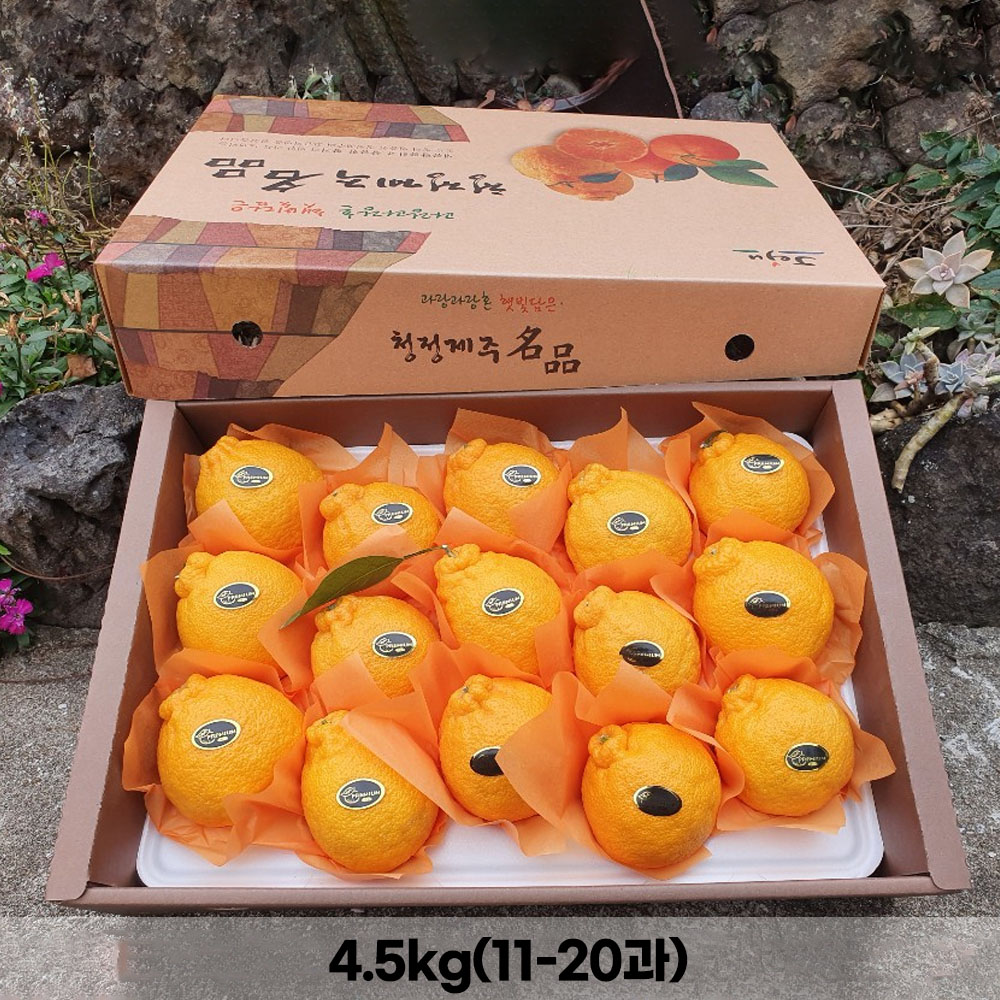 [농장직송]고당도 한라봉 선물세트 4.5kg(11-20과)