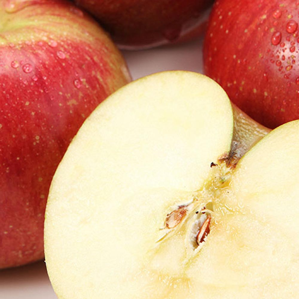 [흙이음] 부사사과 가정용 B급 중소과 3kg (12~18과내외)