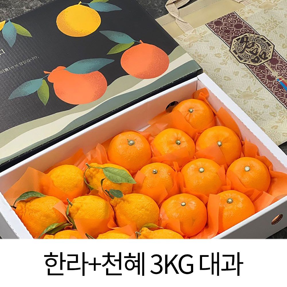 [햇땅] 제주 반반세트 프리미엄 선물세트 한라+천혜 3KG 대과