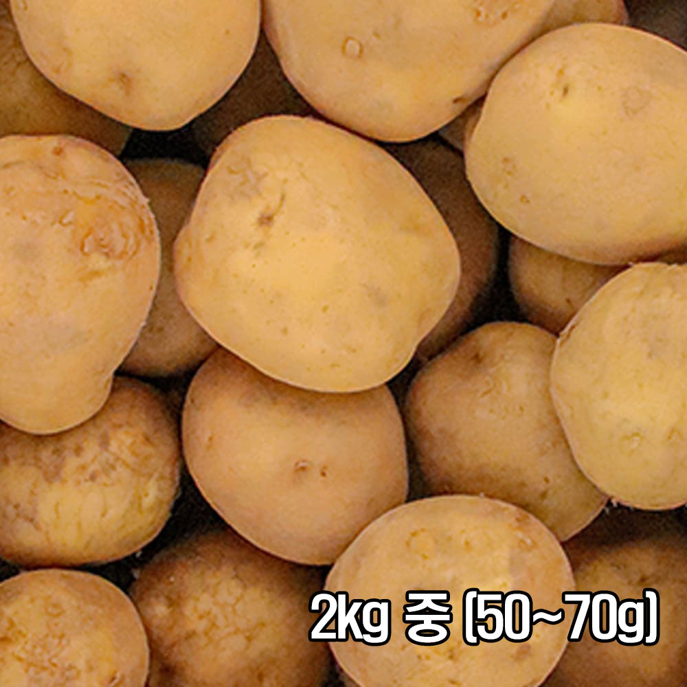 포슬한 맛이 일품인 26년 두백감자 2kg 중 (50~70g)