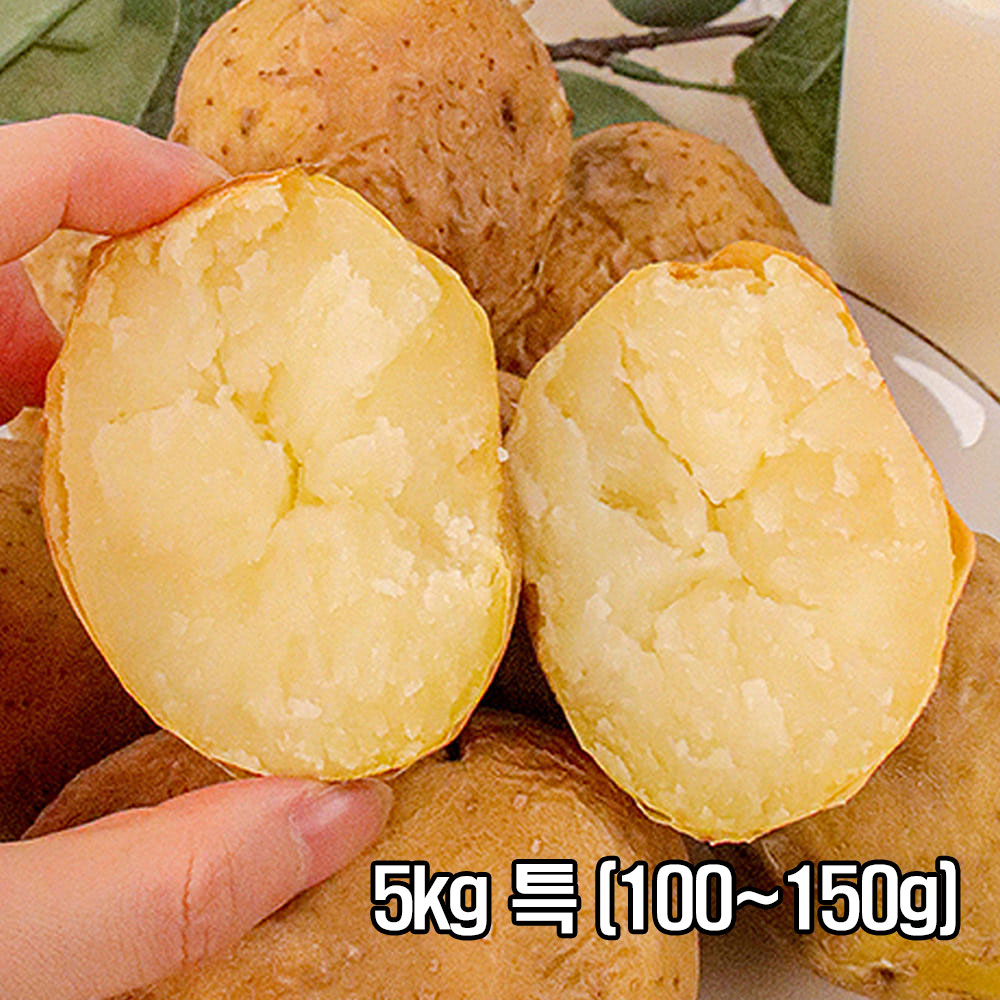 포슬한 맛이 일품인 26년 두백감자 5kg 특 (100~150g)