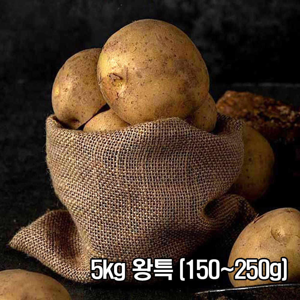 포슬한 맛이 일품인 26년 두백감자 5kg 왕특 (150~250g)