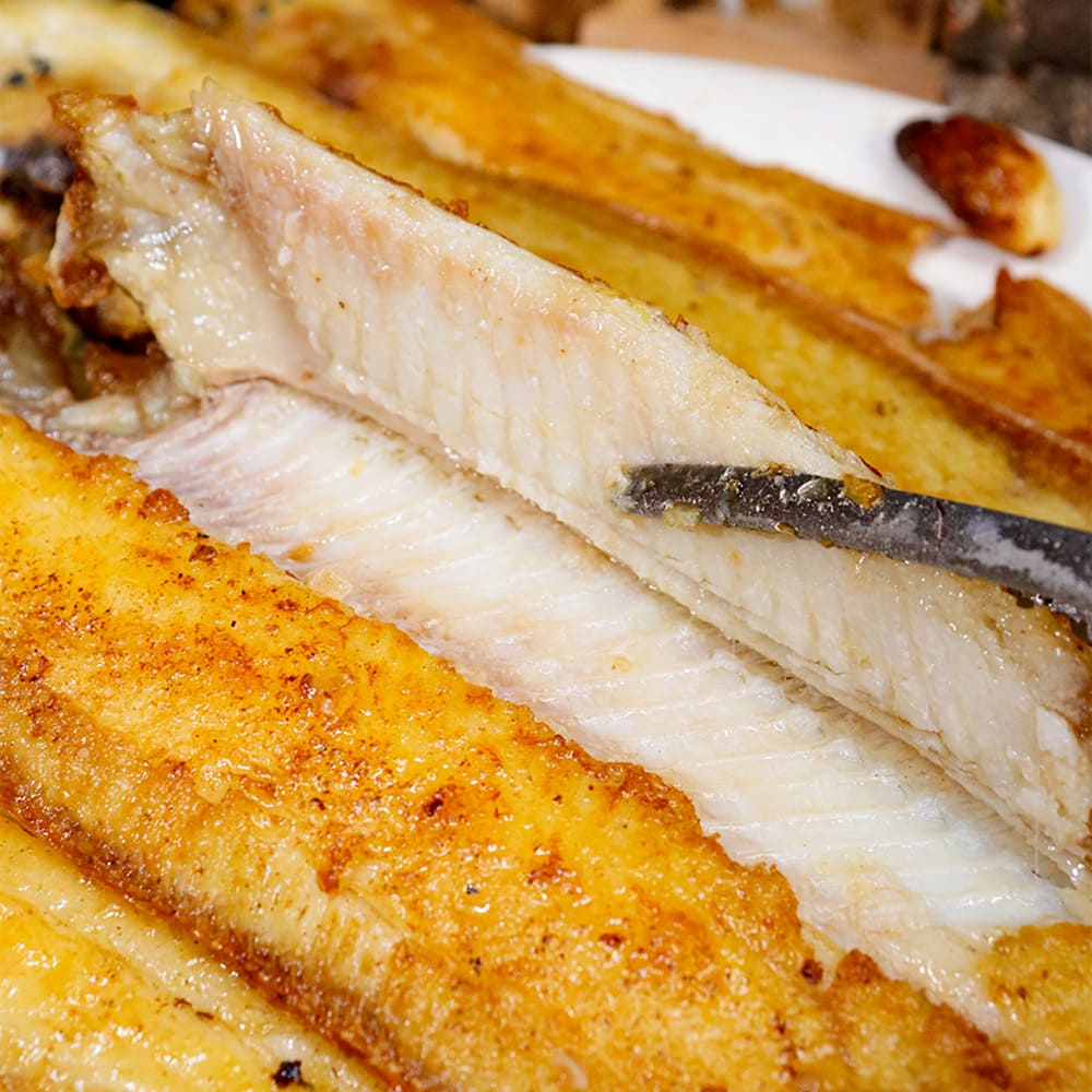 비린내 걱정 없이 담백한 반건조 황금 박대 20미 특대사이즈 (29~31cm내외)