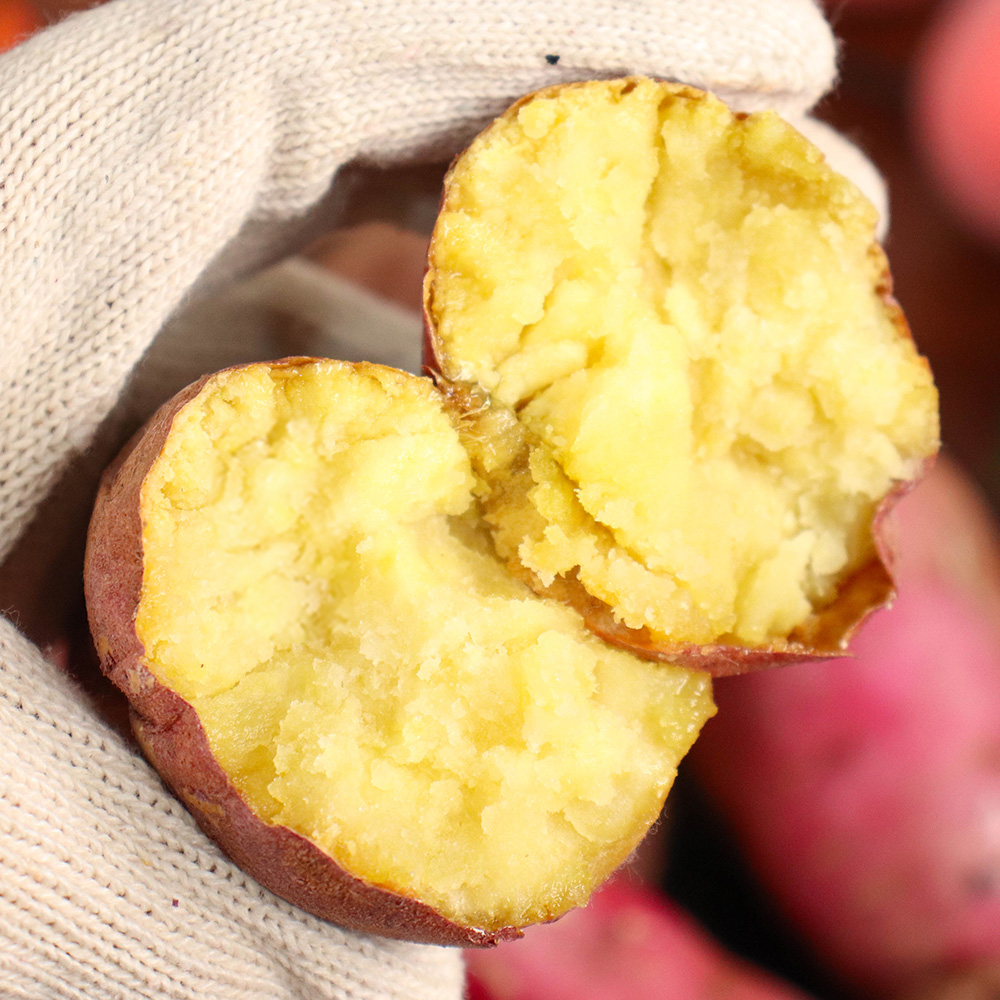 베니하루카 세척 꿀고구마 특상 10kg