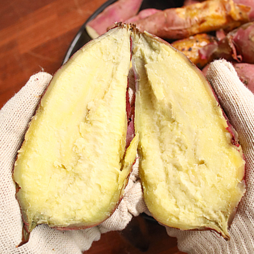 베니하루카 세척 꿀고구마 중 3kg