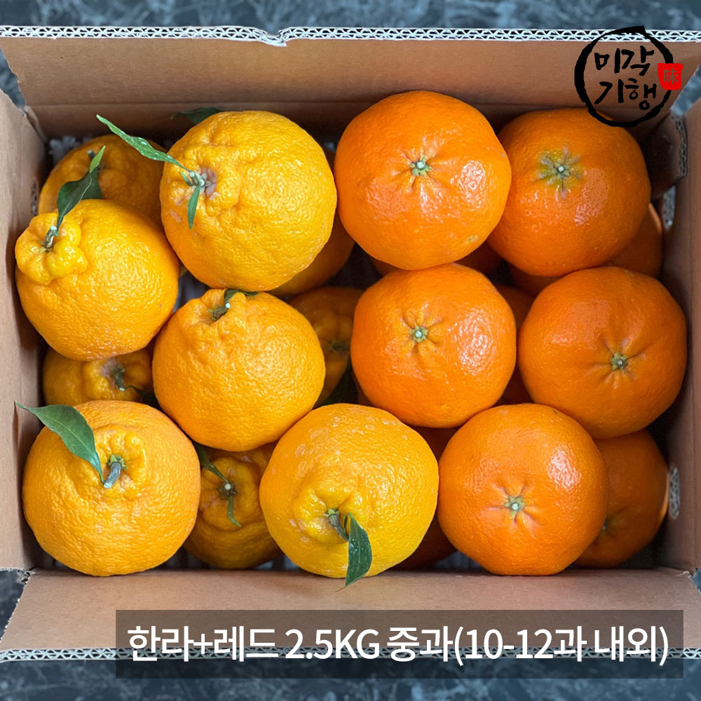 [미각기행] 제주 가정용 한라+레드 2.5KG 중과(10-12과 내외)
