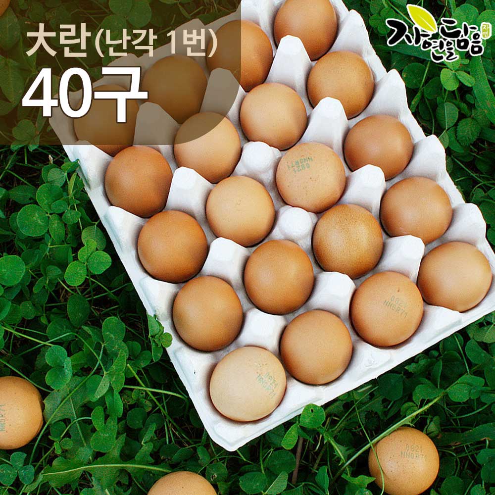 자연을담음 당일산란 무항생제 난각1번 유정란 40구/ 대란