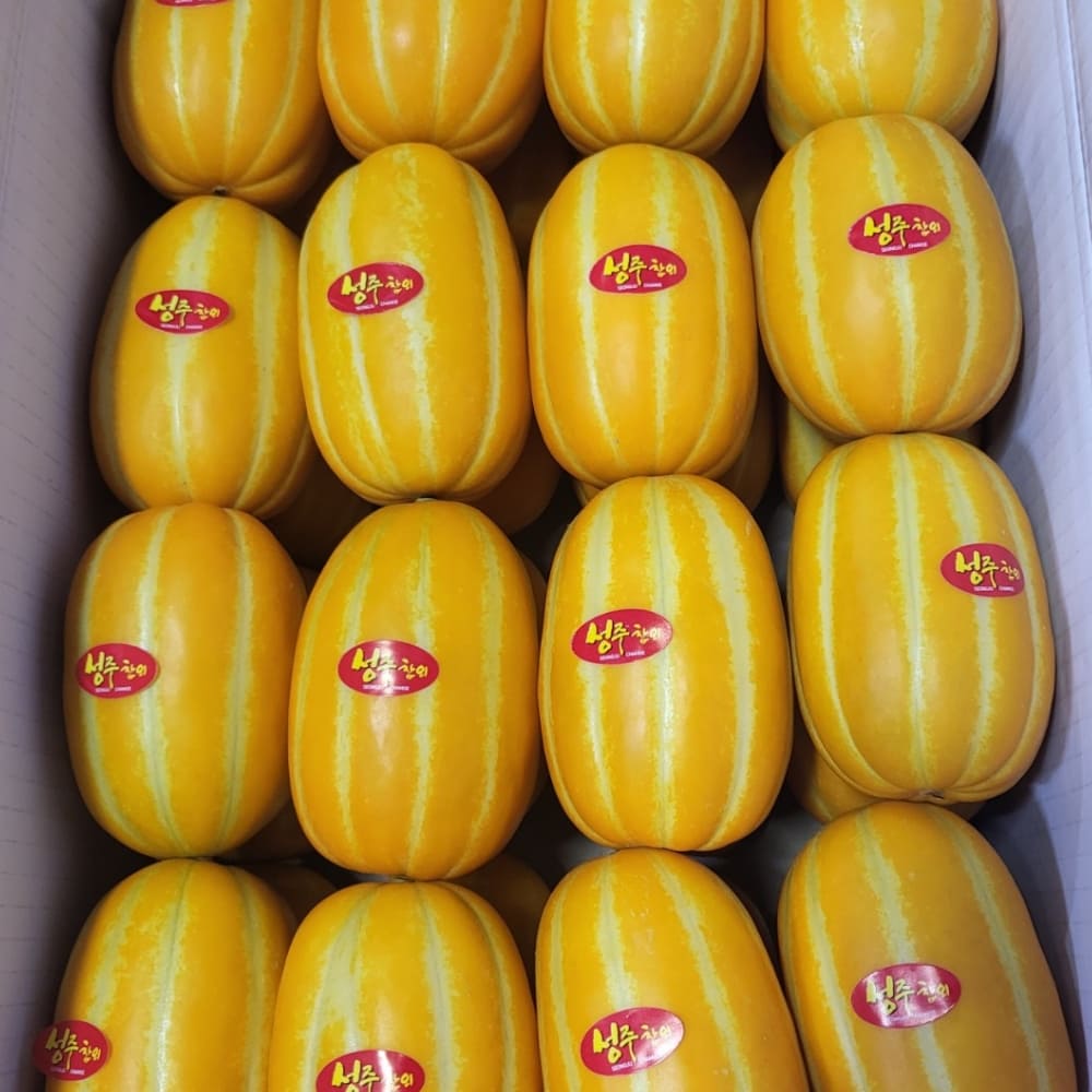 산지직송 성주 고당도 하우스 꿀참외 [정품] 성주 참외 중과 (31-50과) 10kg (개별망)