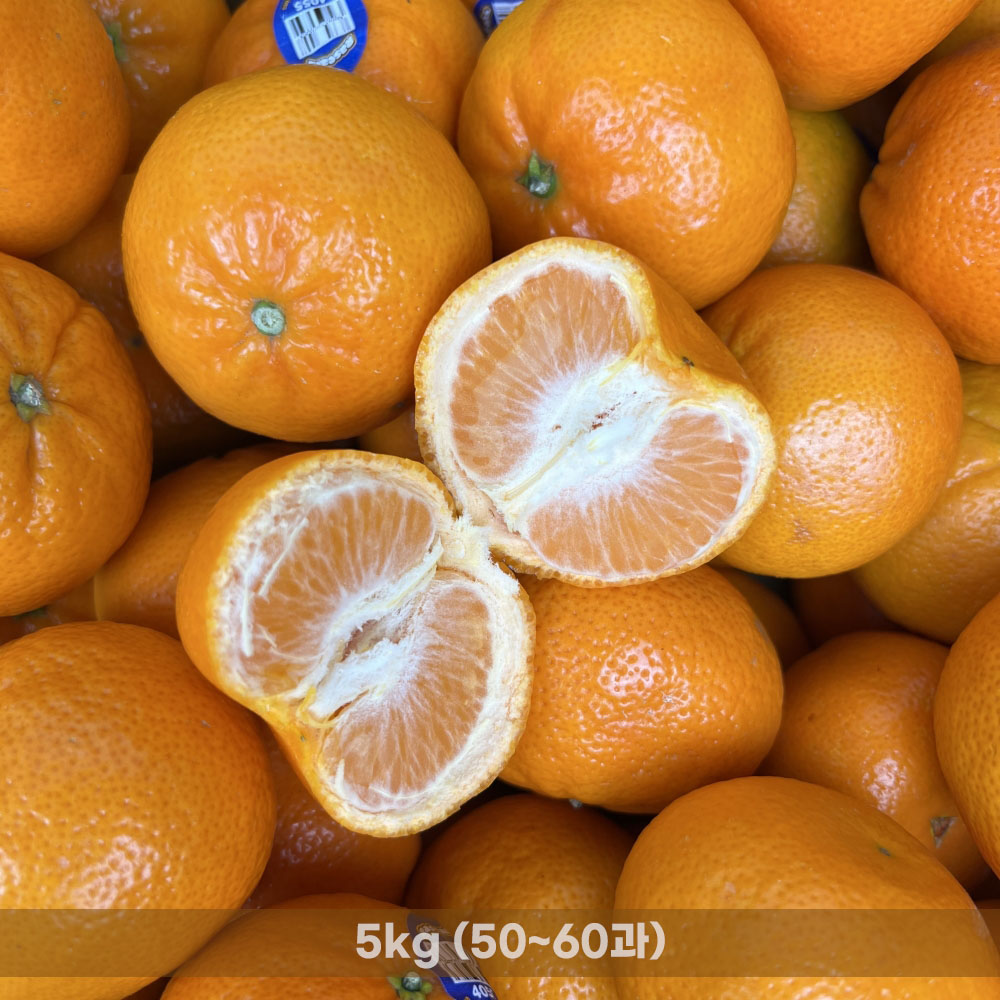 고당도 달콤한 스위트 만다린 5kg (50~60과)