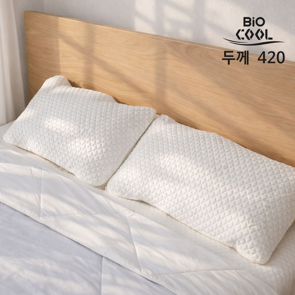 [바이오쿨] 420 냉감패드 베개커버2P