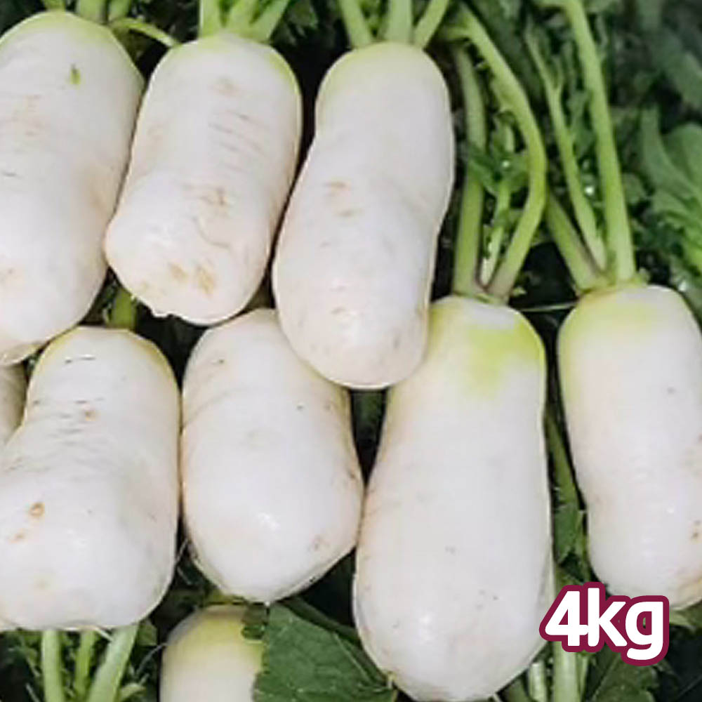 손질한 국산 총각무(알타리무) 2단 4kg 내외