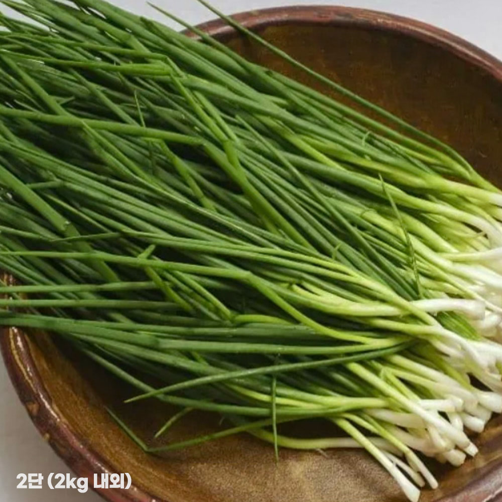 국산 깐쪽파 특품 2단 (2kg 내외)