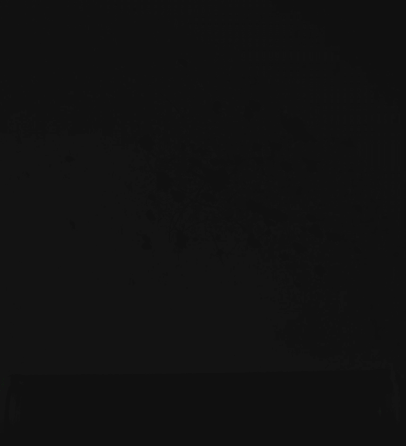 436667_s_32.gif