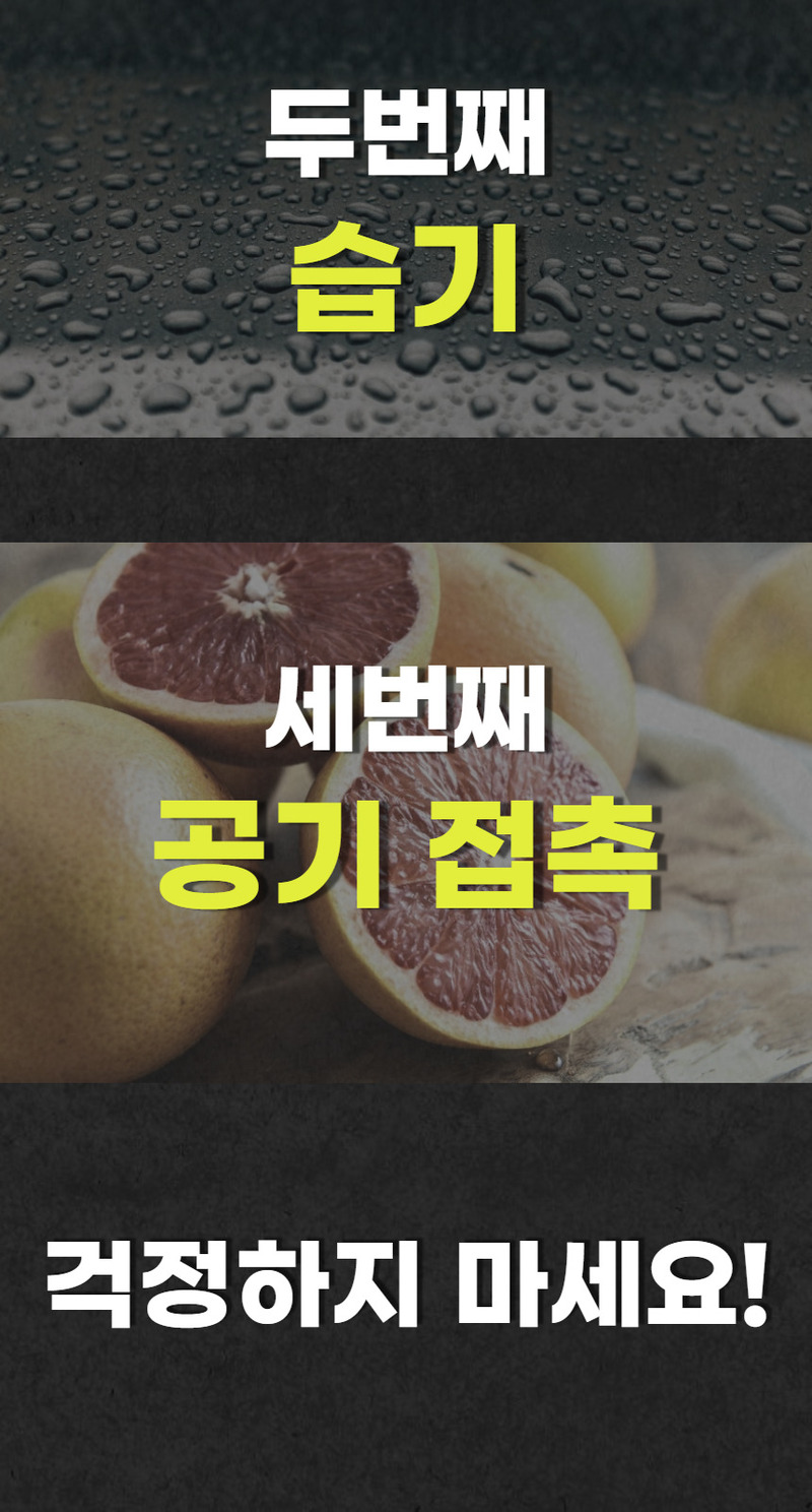 [휴고스] 날짜각인 가정용 진공 포장지 롤팩 1롤 8인치(20x3m)300cm 상세 2