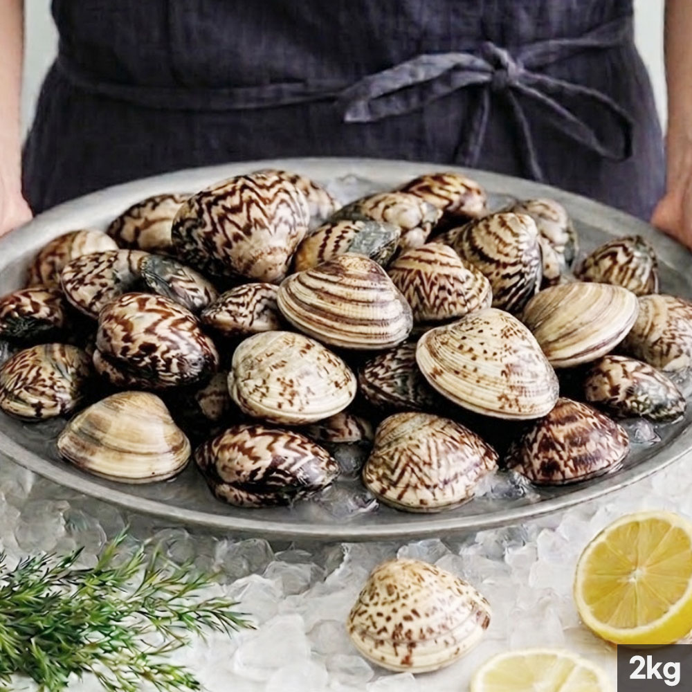 [거제 머구리 조업] 국내산 참백합 조개 2kg (40-50미)/전통 머구리 조업방식(1차해감)